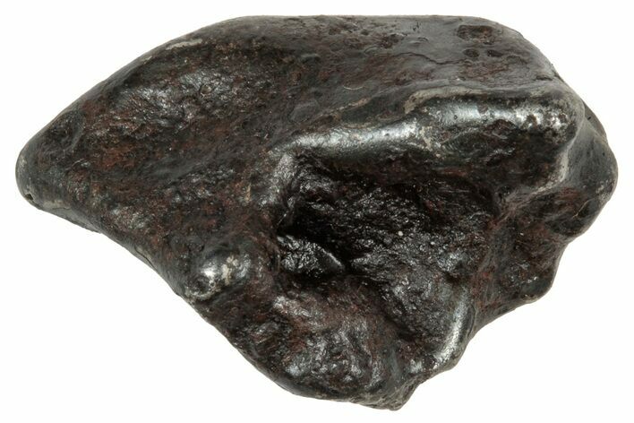 Fusion Crusted Sikhote-Alin Iron Meteorite ( g) - Russia #333102